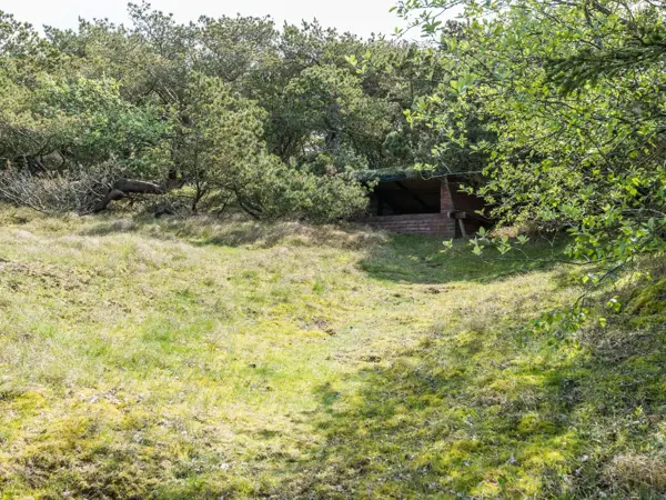 Bild 12 von 22