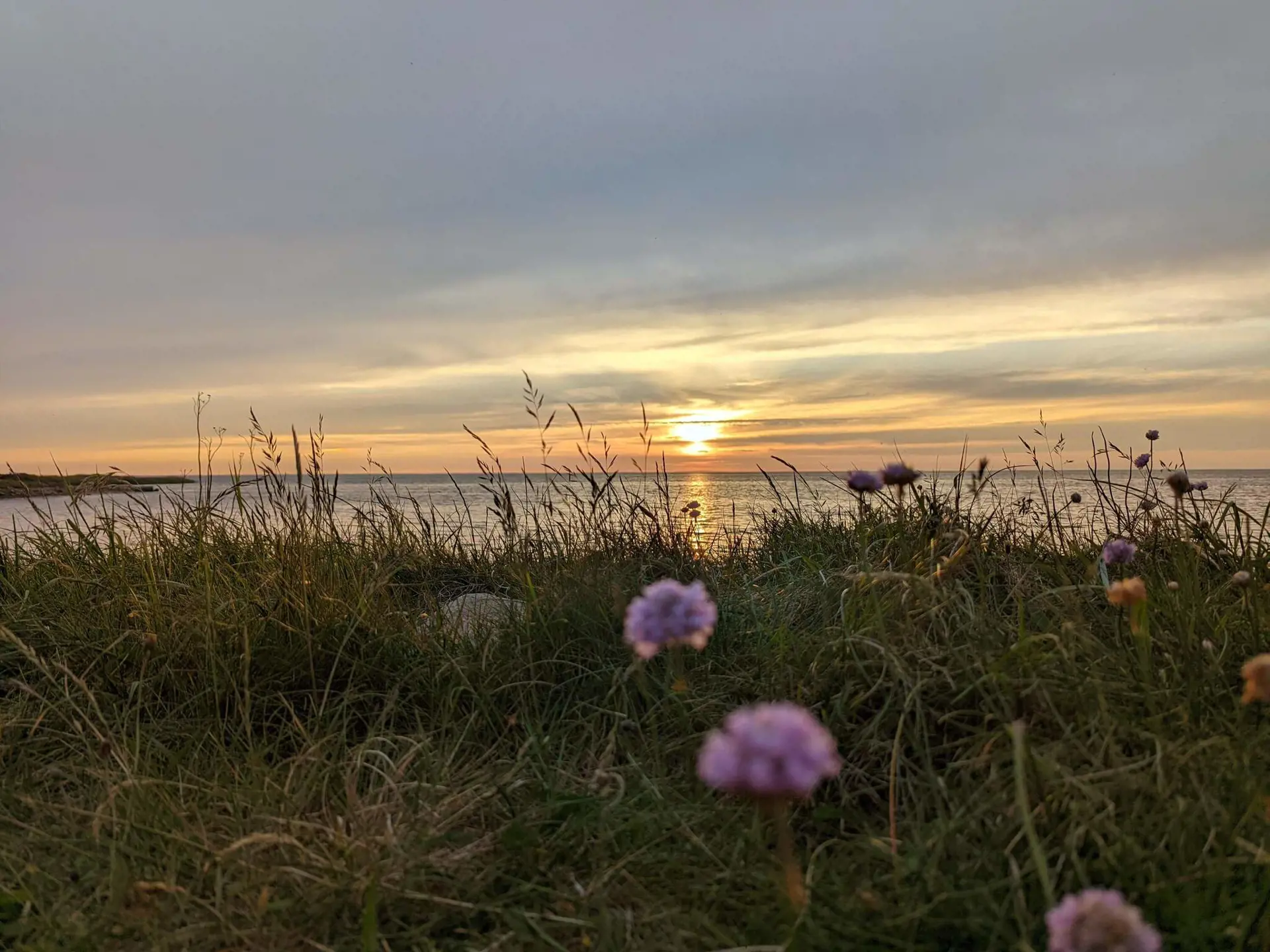 Bild 39 von 39