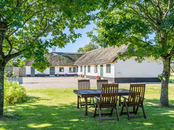 Ferienhaus 06996 in Houstrup Strand / Houstrup