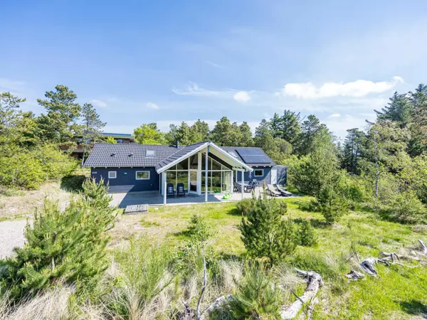 Ferienhaus 07296 in Nymindegab / Houstrup Bild: 5