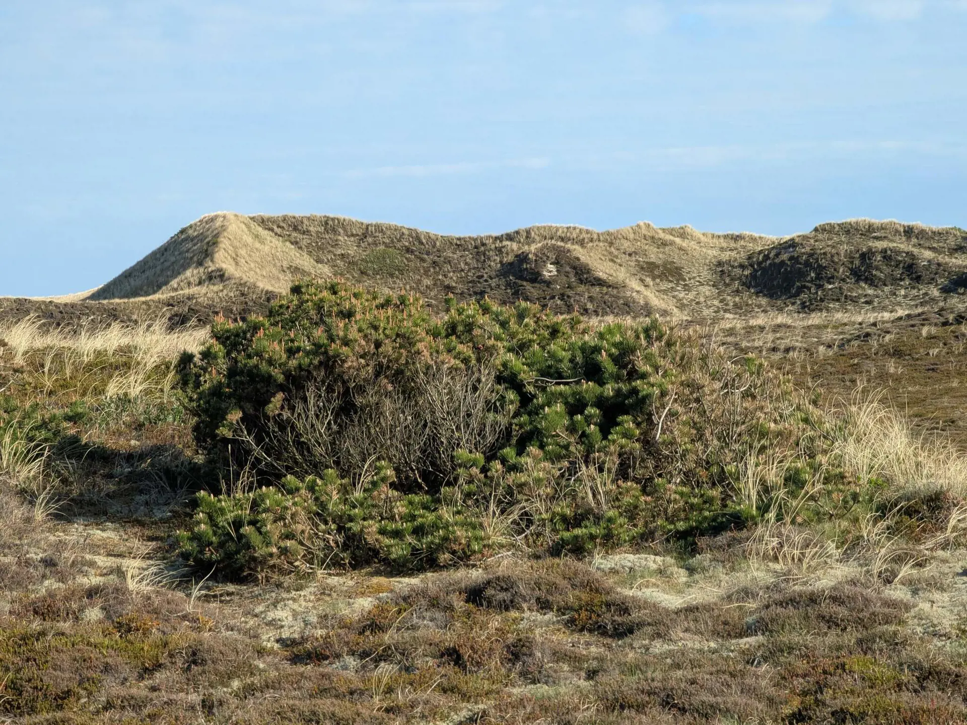 Bild 34 von 38