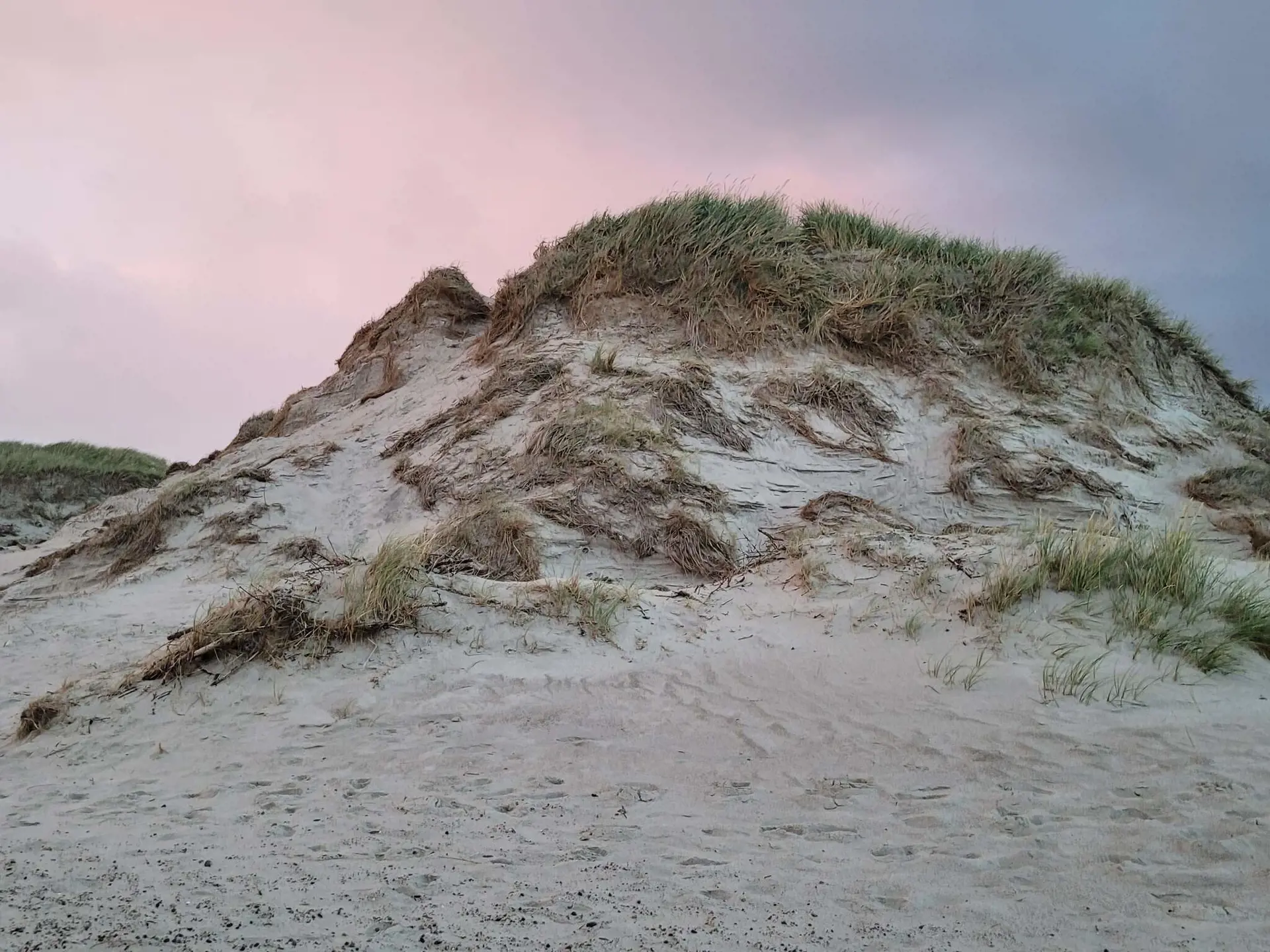 Bild 36 von 38