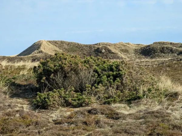 Bild 35 von 39