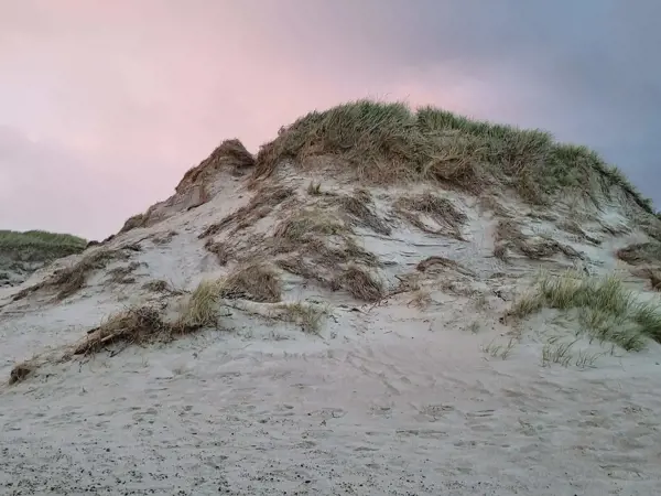 Bild 37 von 39