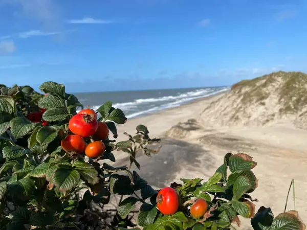Bild 39 von 40