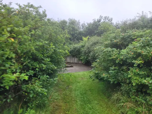 Bild 38 von 39