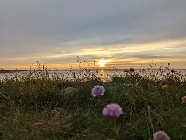 Bild 39 von 39