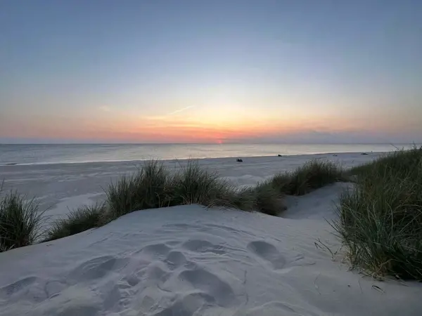 Bild 29 von 33
