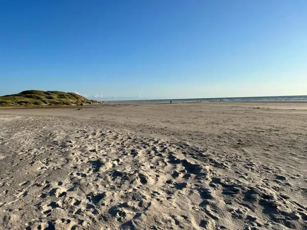 Bild 31 von 33