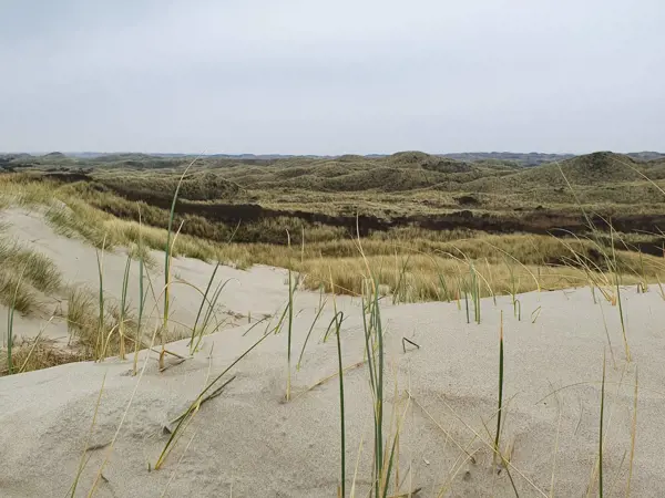 Bild 35 von 38
