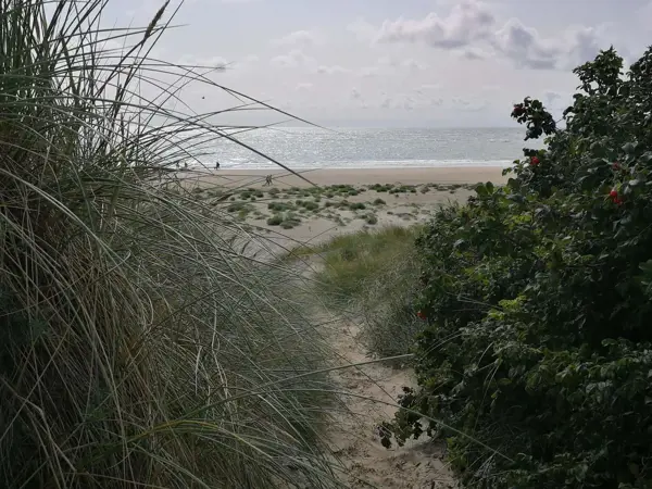 Bild 38 von 38