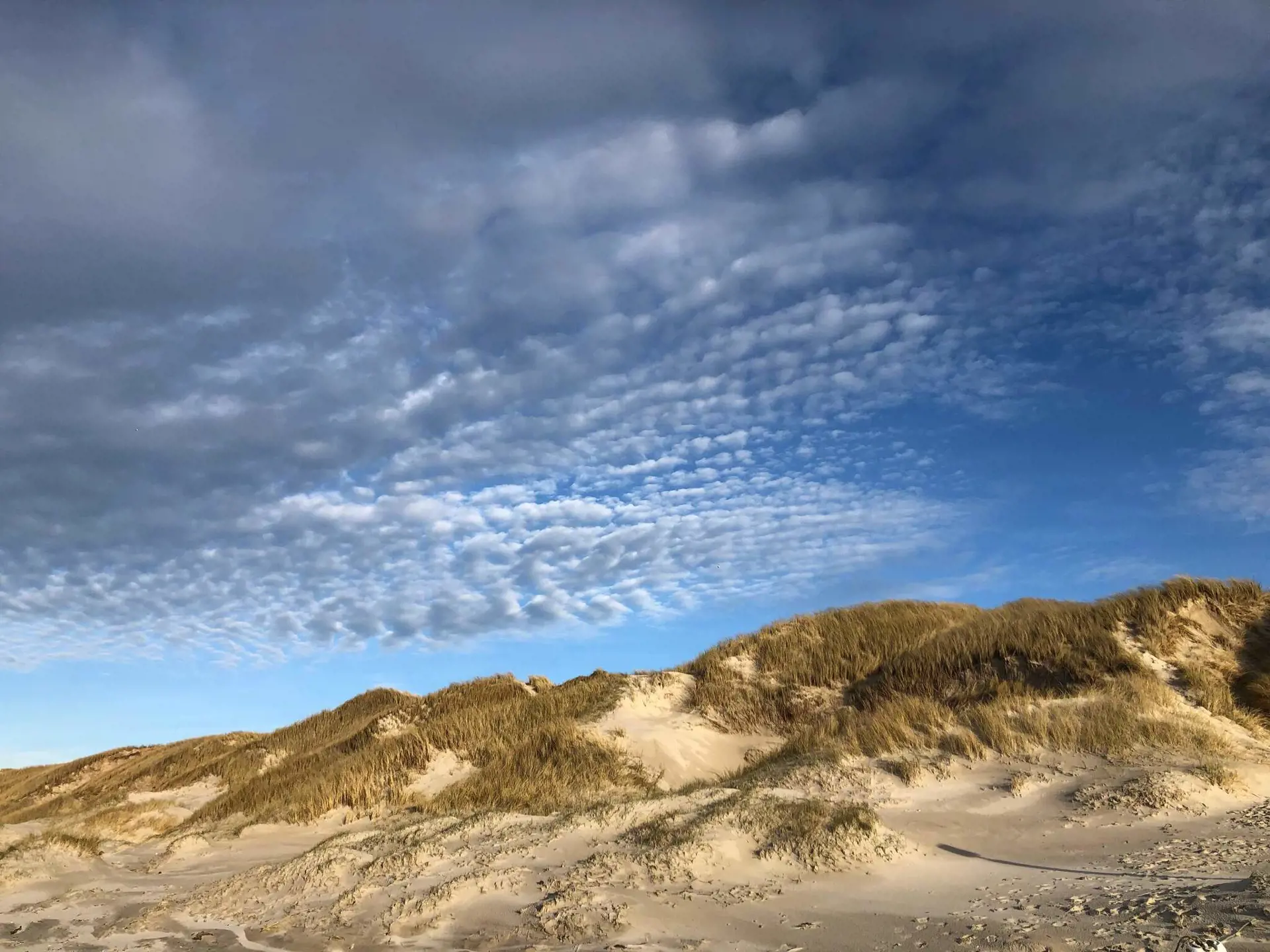 Bild 37 von 39