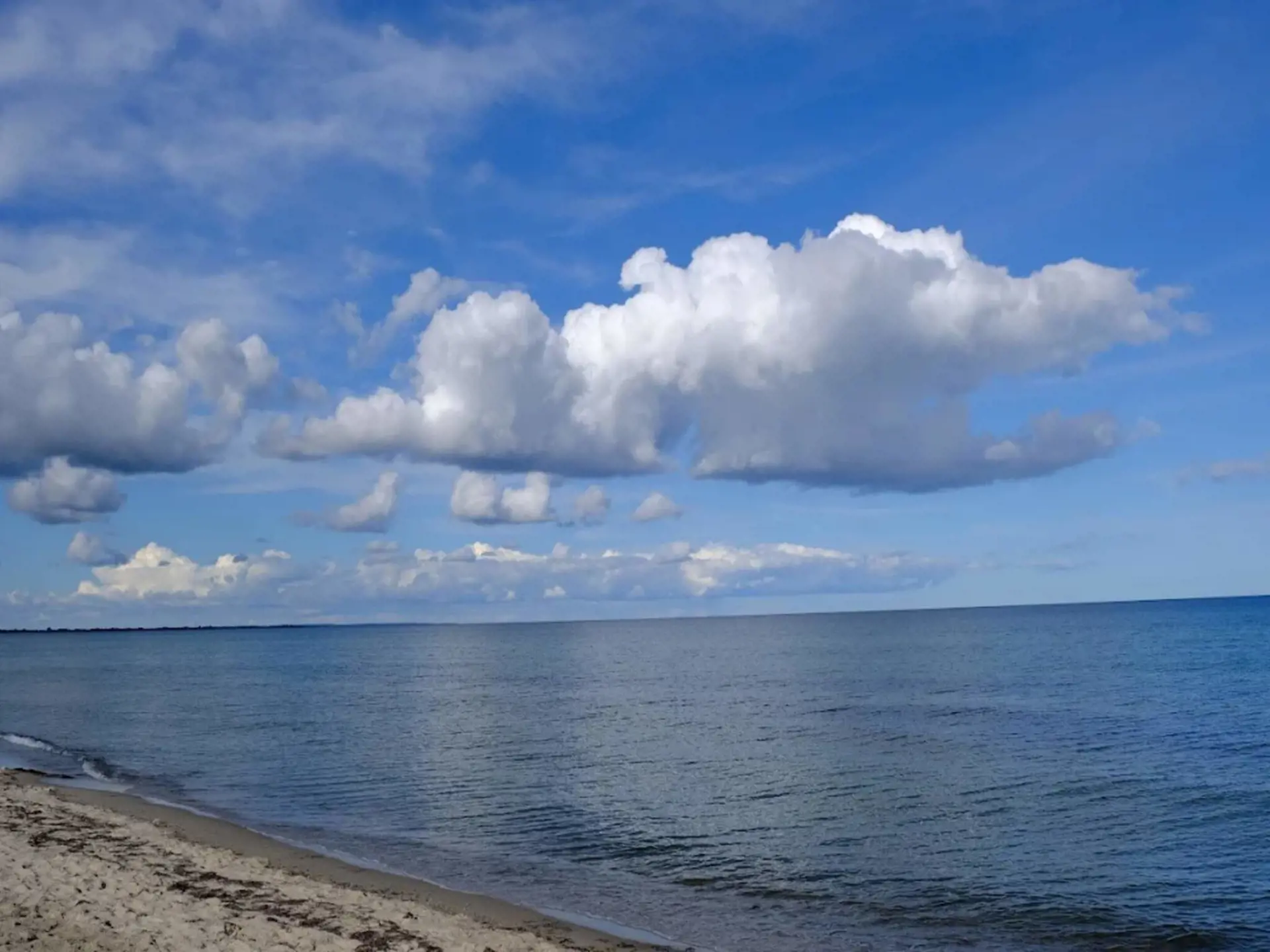 Bild 13 von 68