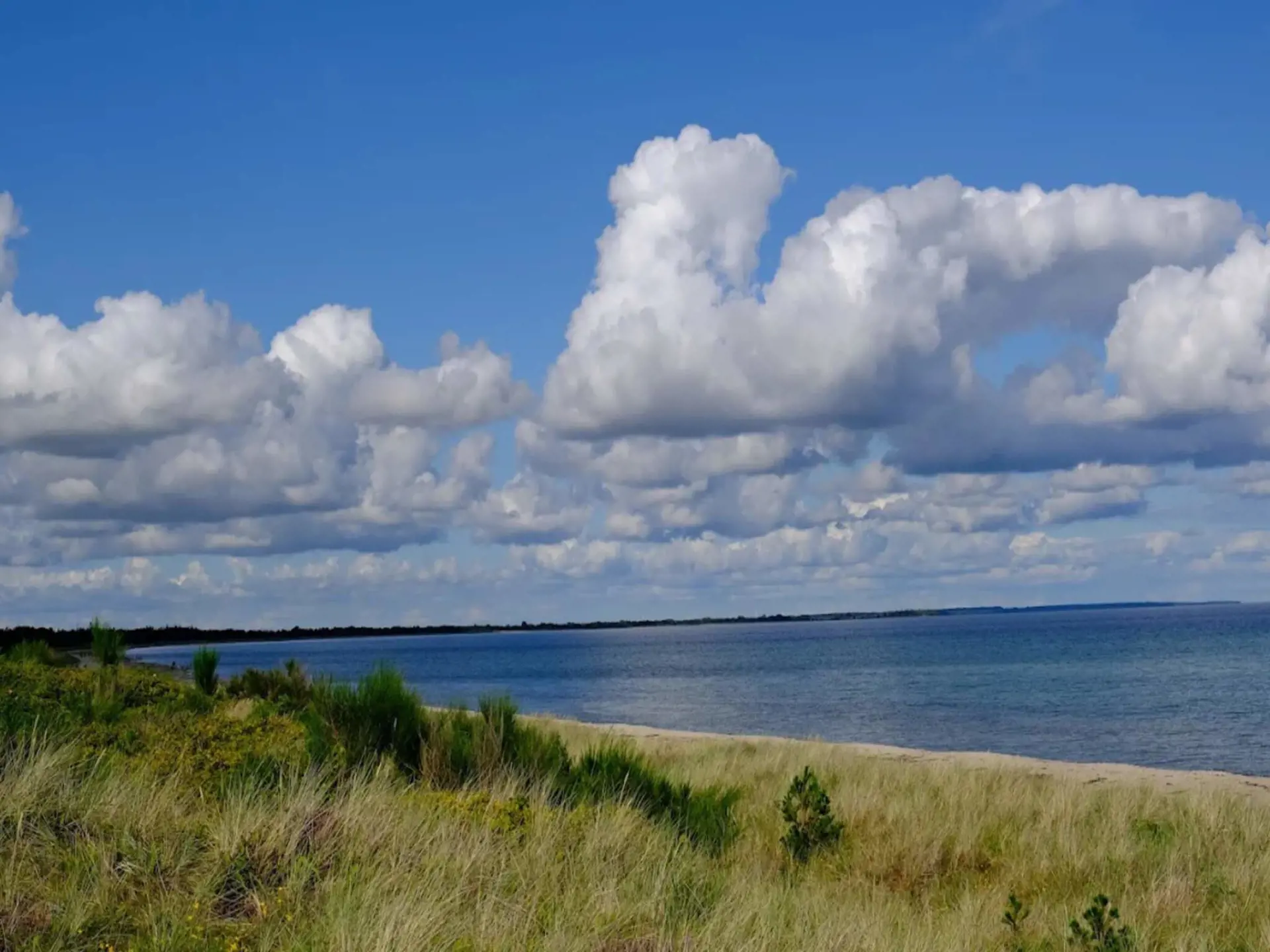 Bild 17 von 68