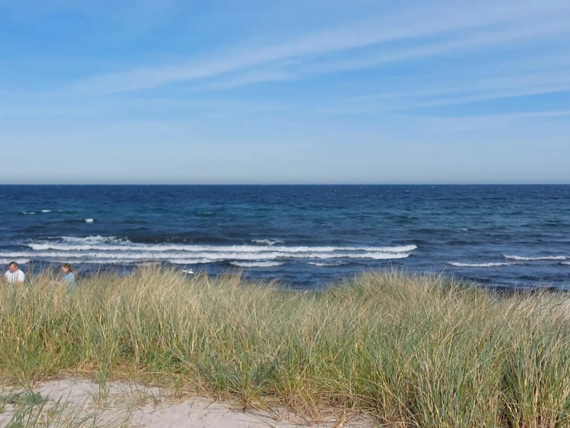 Bild 19 von 68