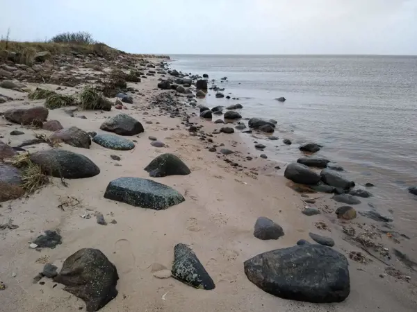 Bild 37 von 38