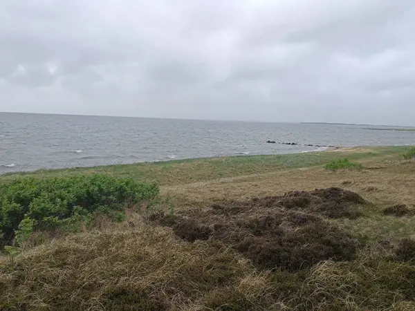 Bild 38 von 38