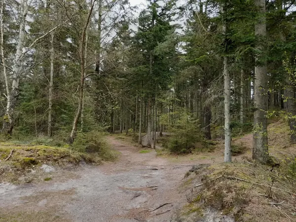 Bild 31 von 40