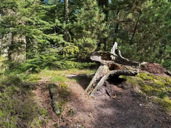 Bild 38 von 40