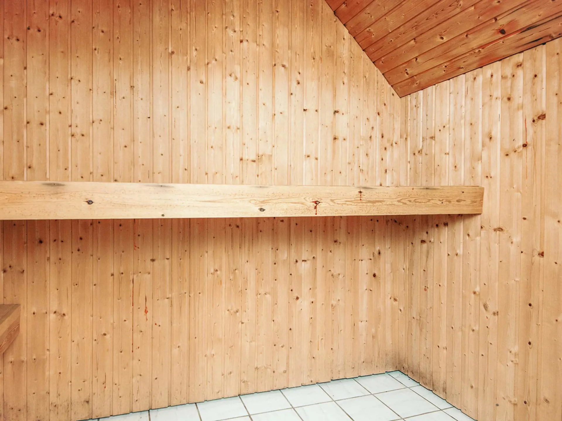 Bild 51 von 52