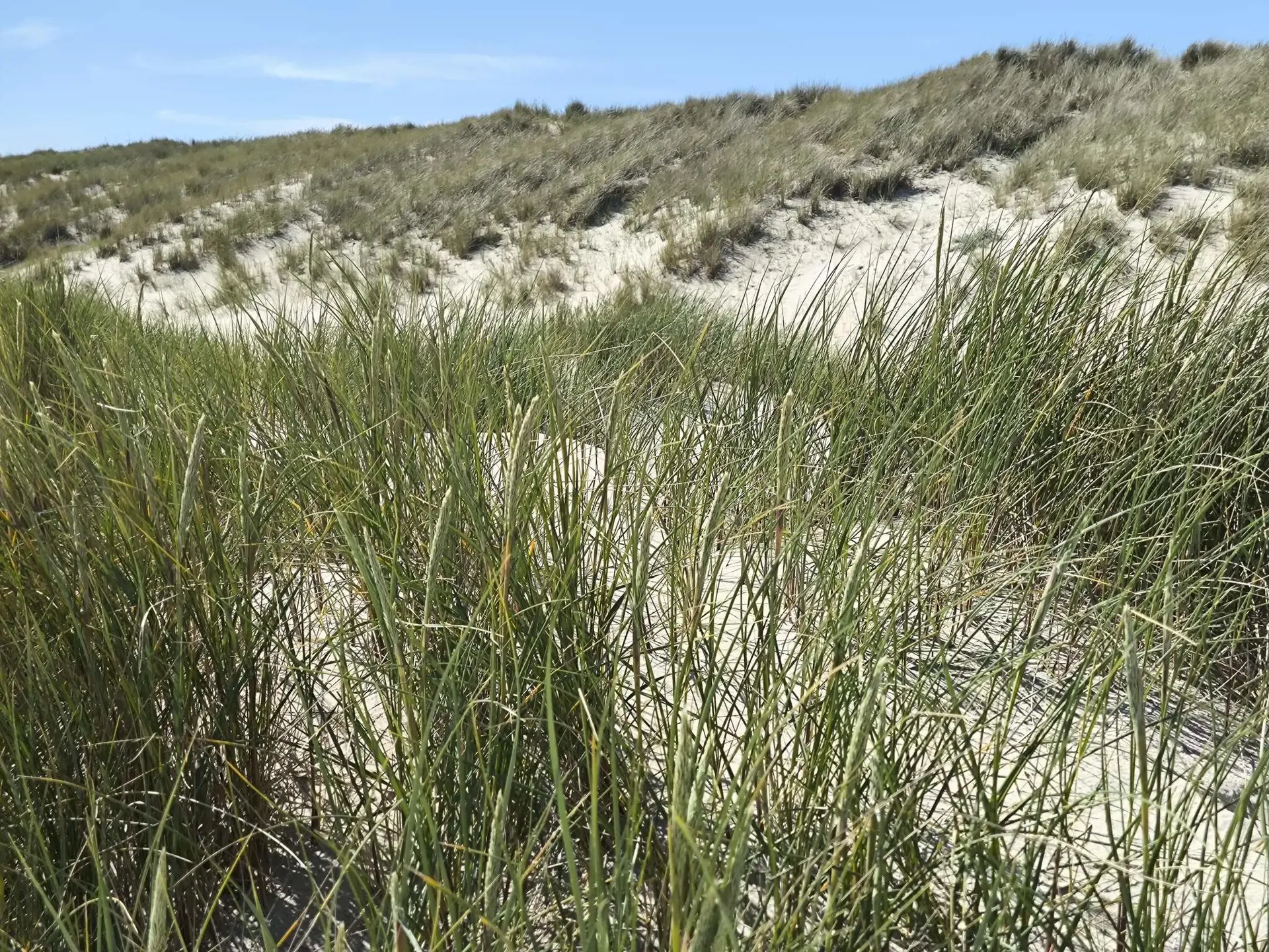 Bild 37 von 38