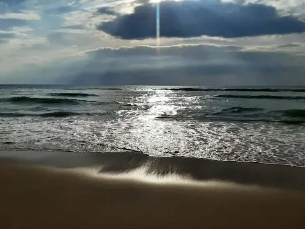 Bild 6 von 44