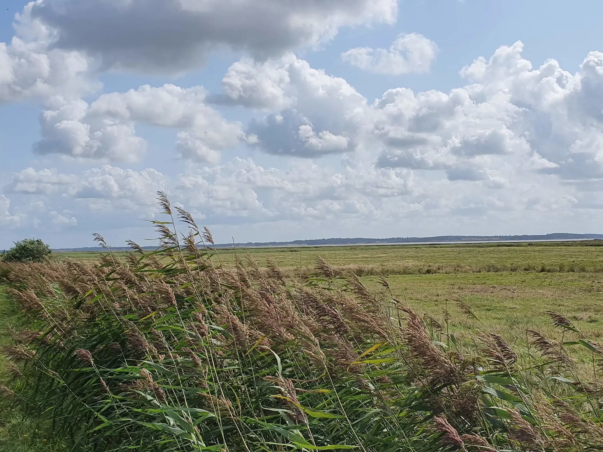 Bild 28 von 35