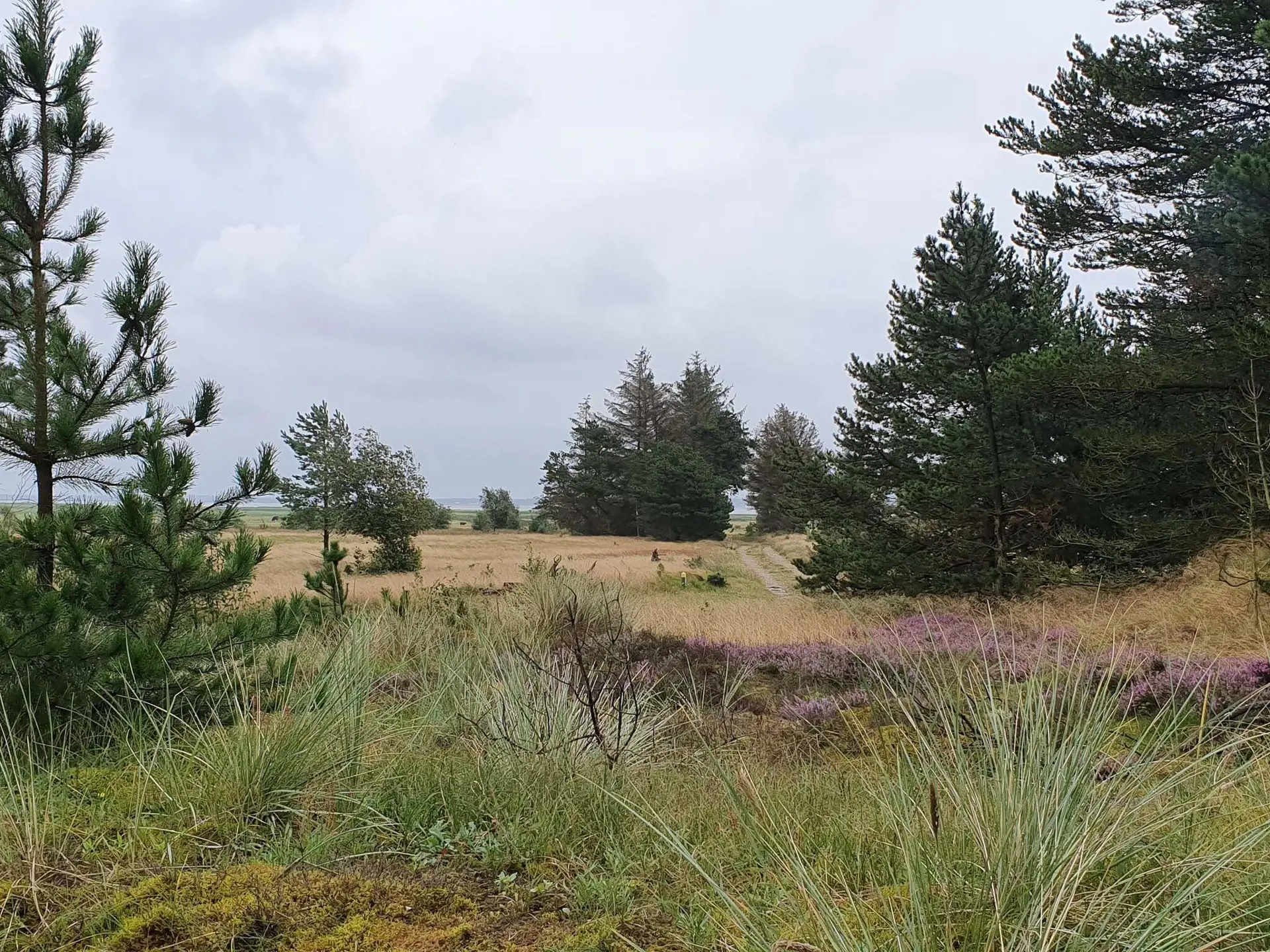 Bild 30 von 35