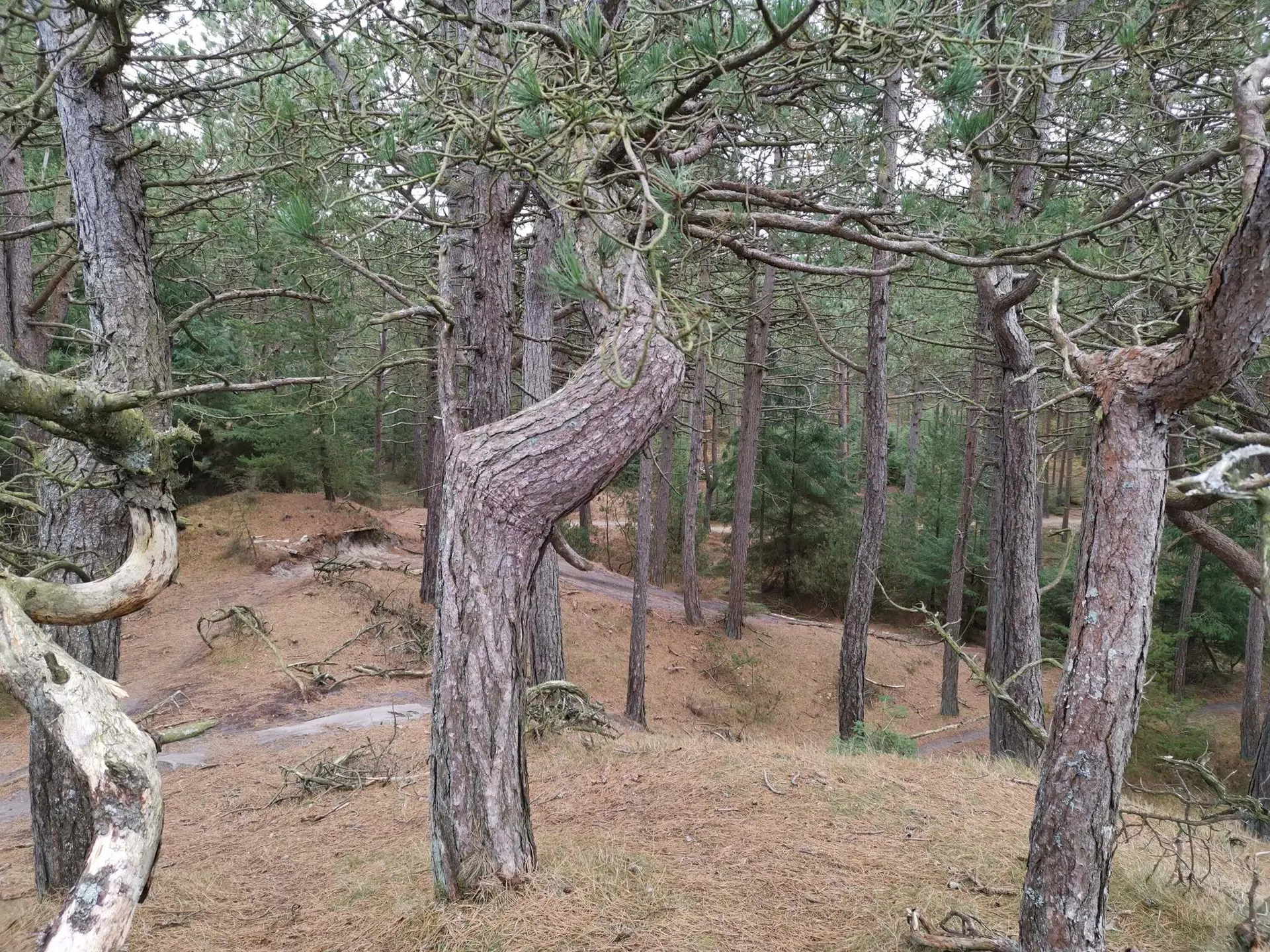 Bild 31 von 35