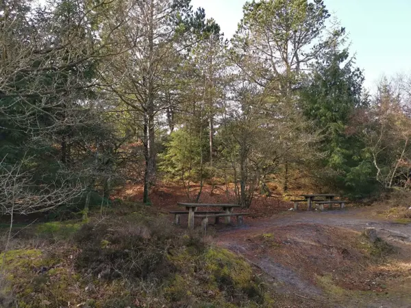 Bild 35 von 35