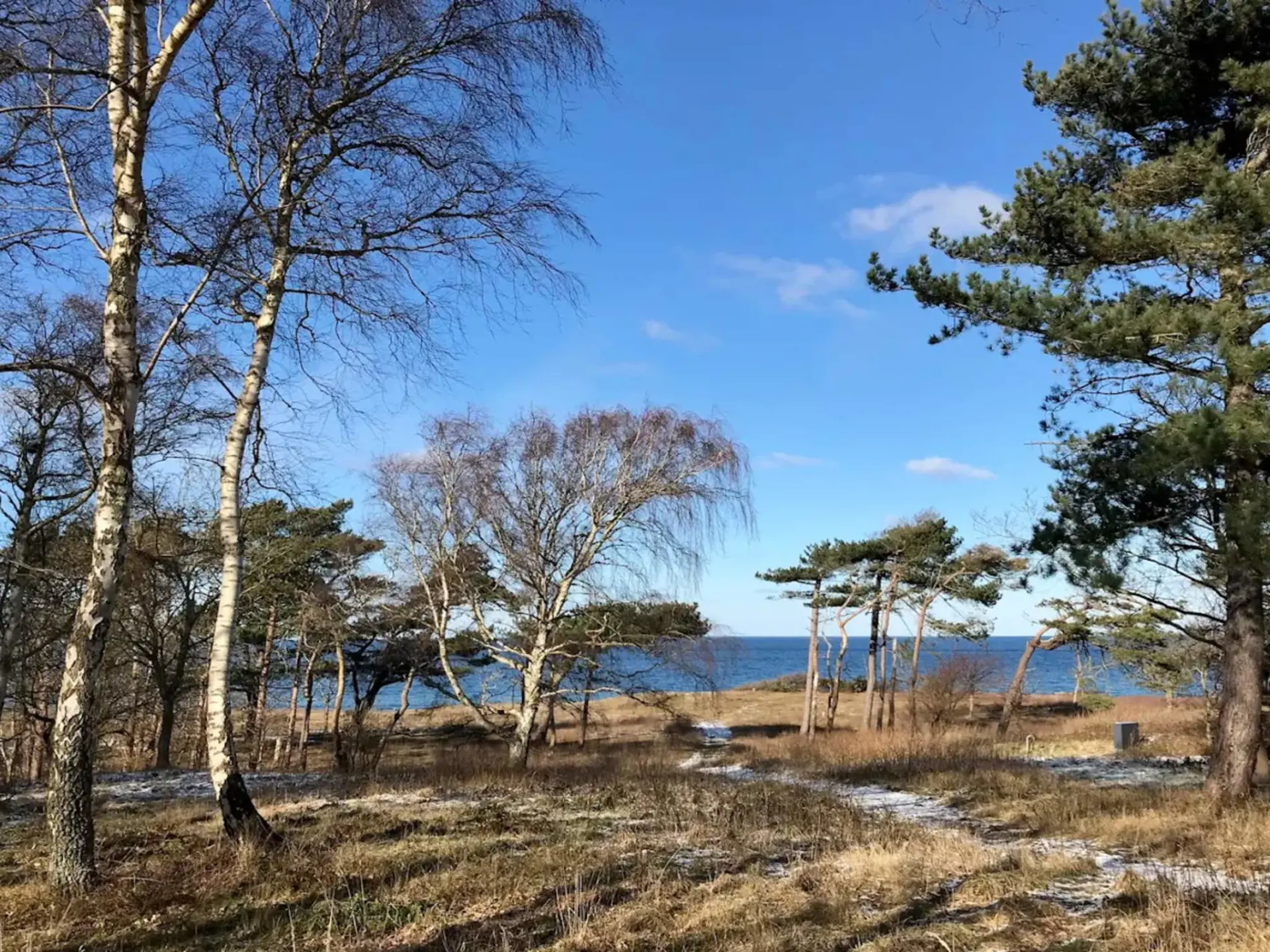 Bild 36 von 55