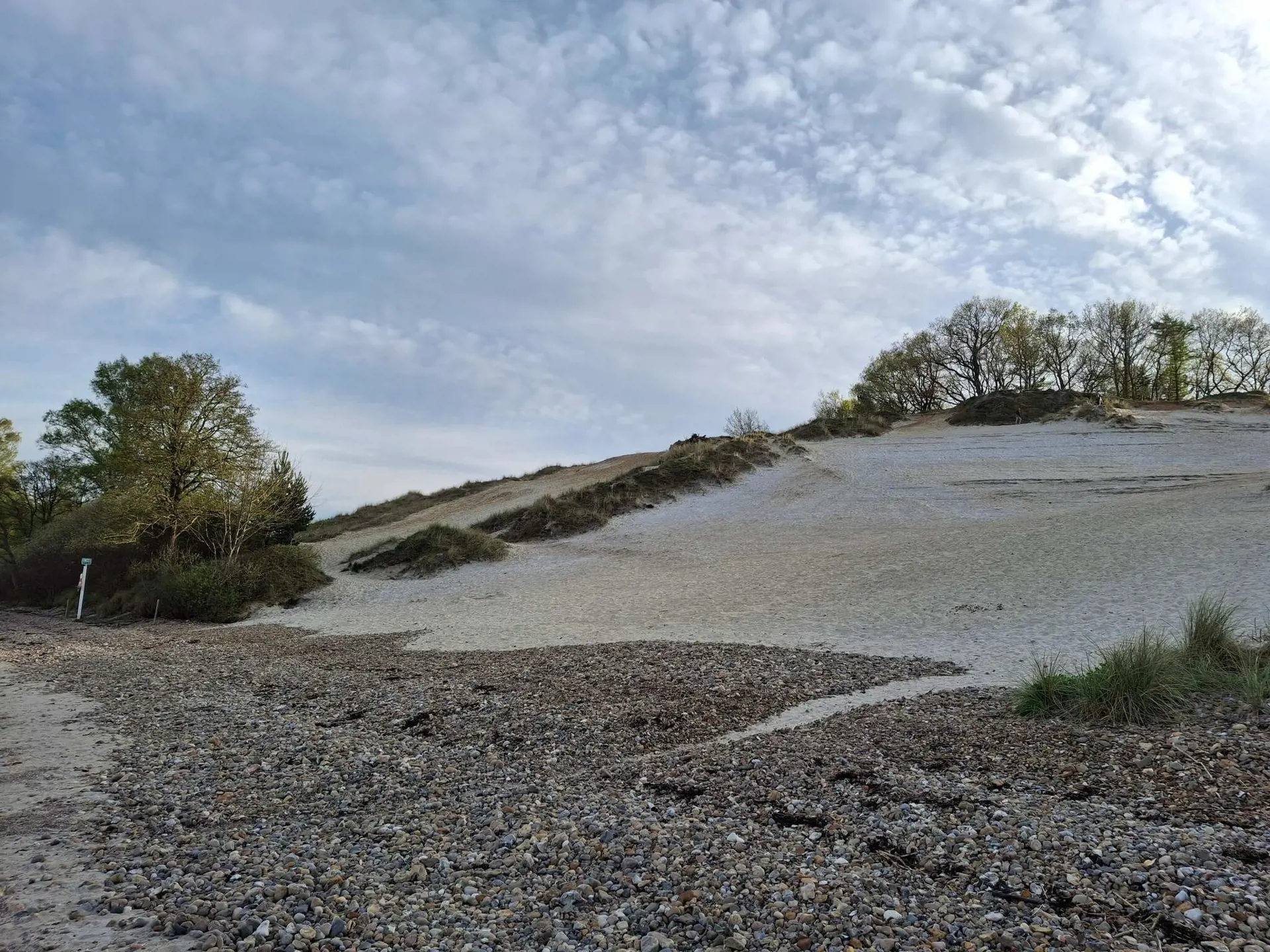 Bild 38 von 39