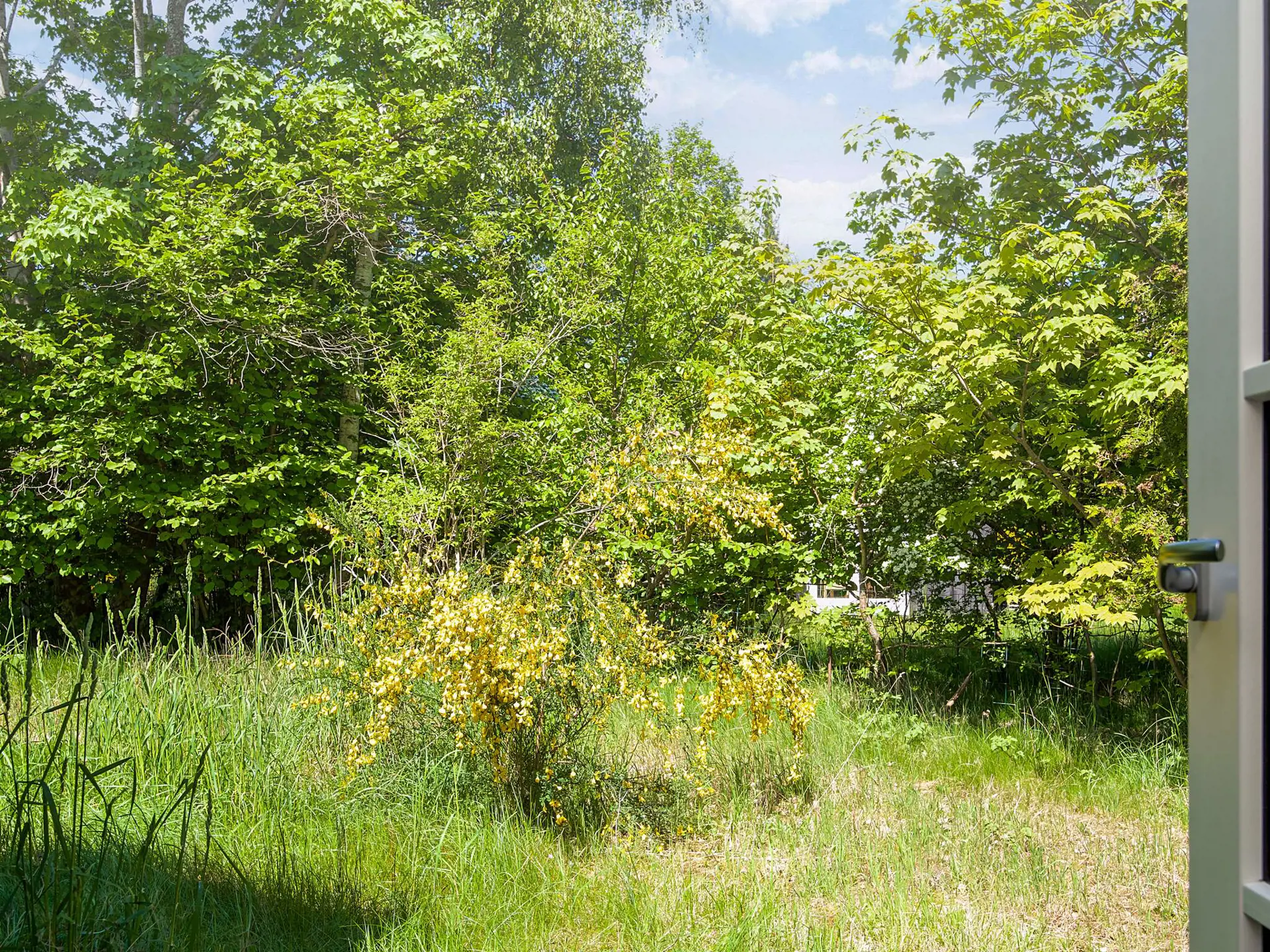 Bild 18 von 40