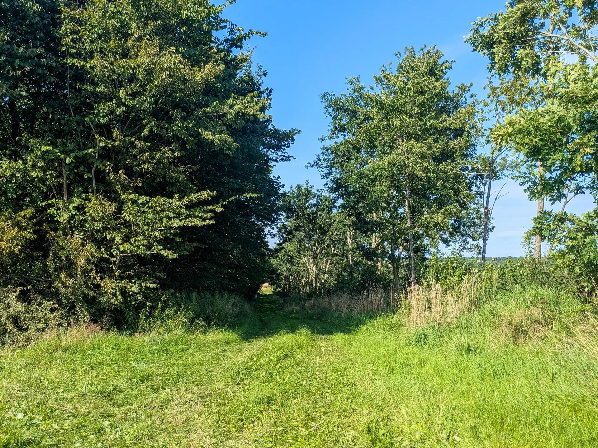 Bild 6 von 53