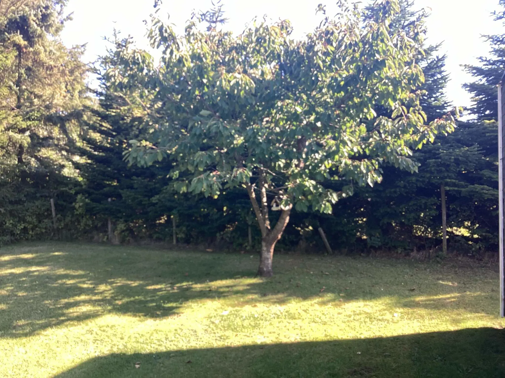 Bild 10 von 24
