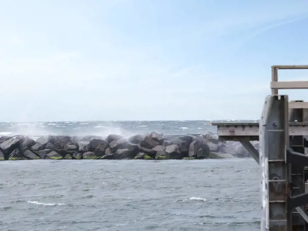 Bild 41 von 41