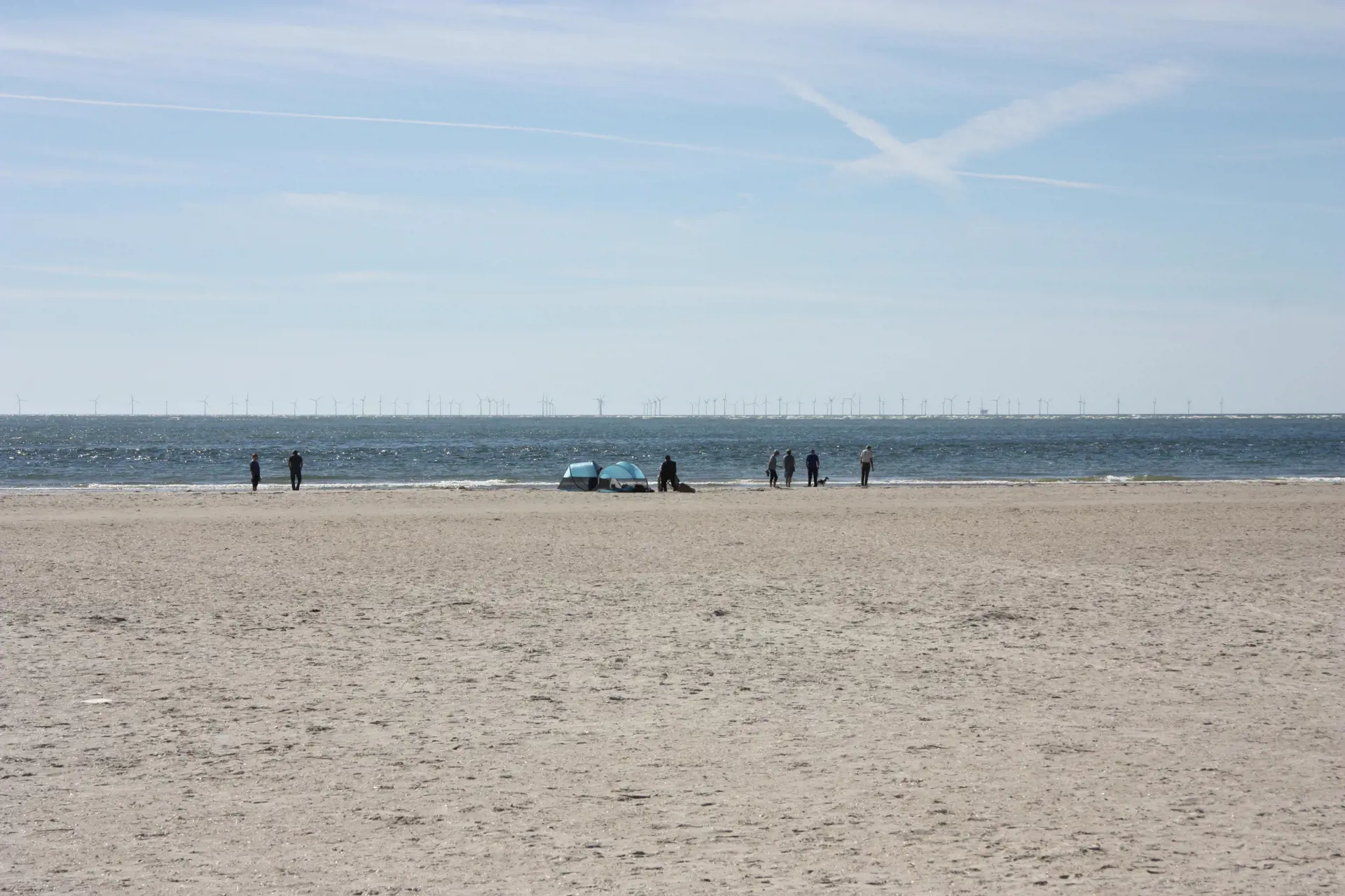 Bild 11 von 14