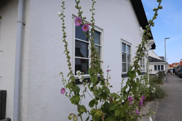Ferienhaus Norgesvej 20 in Norgesvej 20, Løkken | Bild 28 von 37