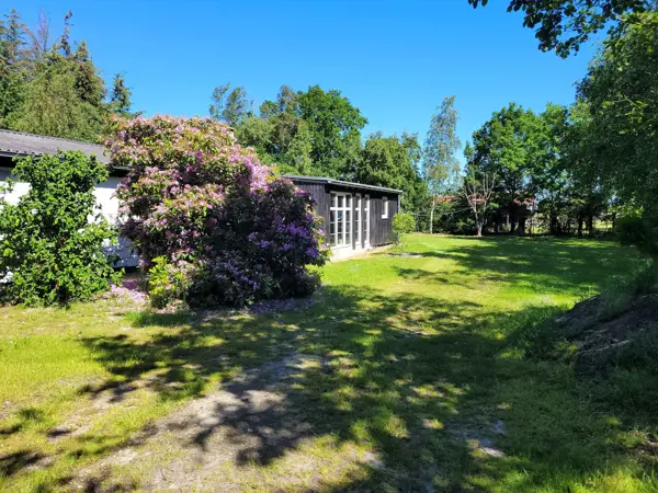 Bild 3 von 35
