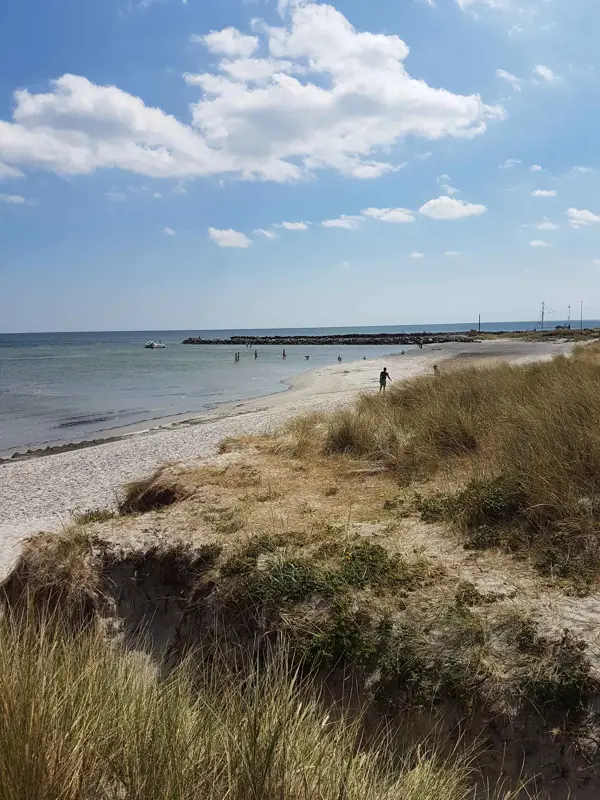 Bild 18 von 35