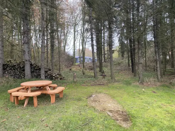 Bild 11 von 12