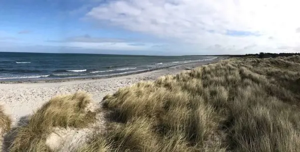 Bild 26 von 29