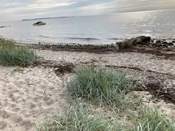 Bild 30 von 38