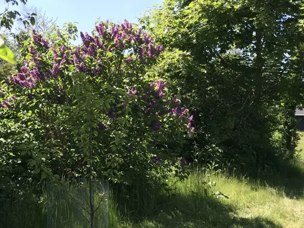 Bild 21 von 27