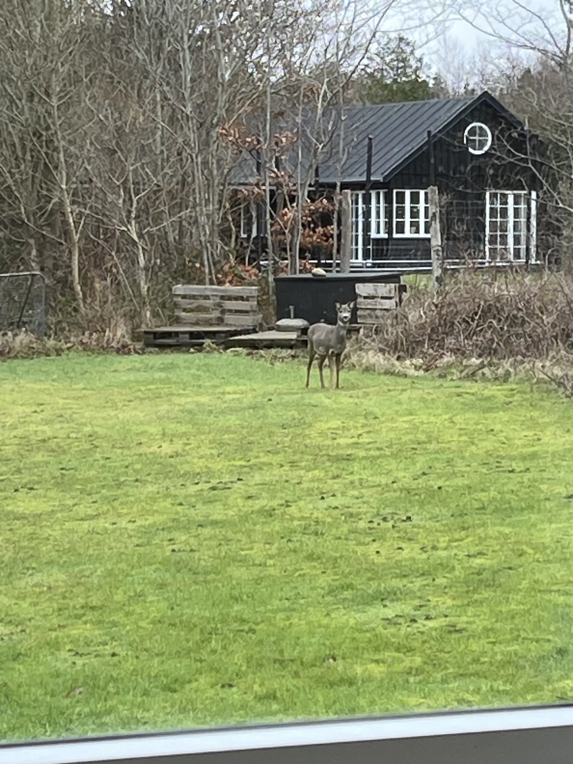 Bild 38 von 42