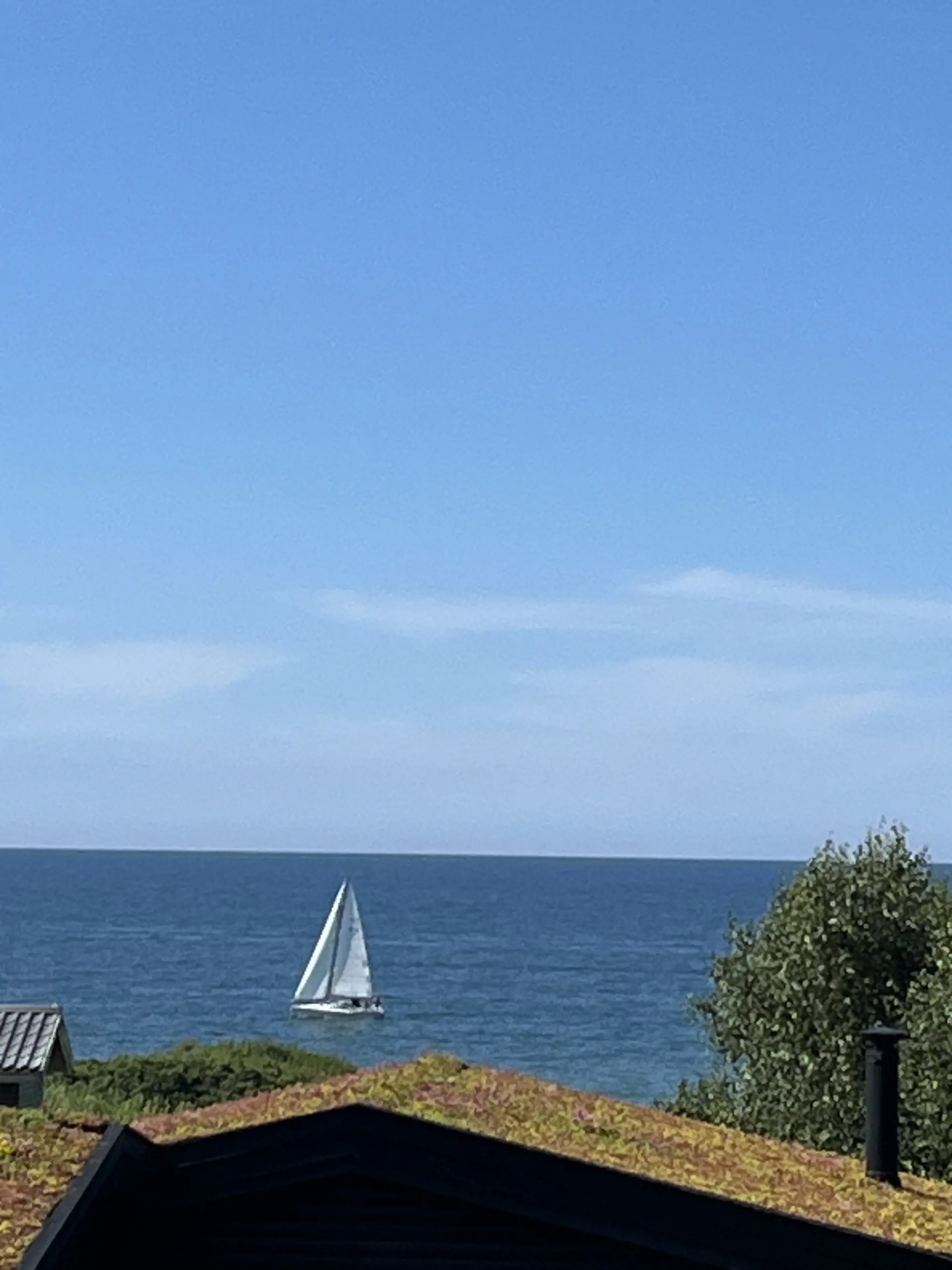 Bild 39 von 42