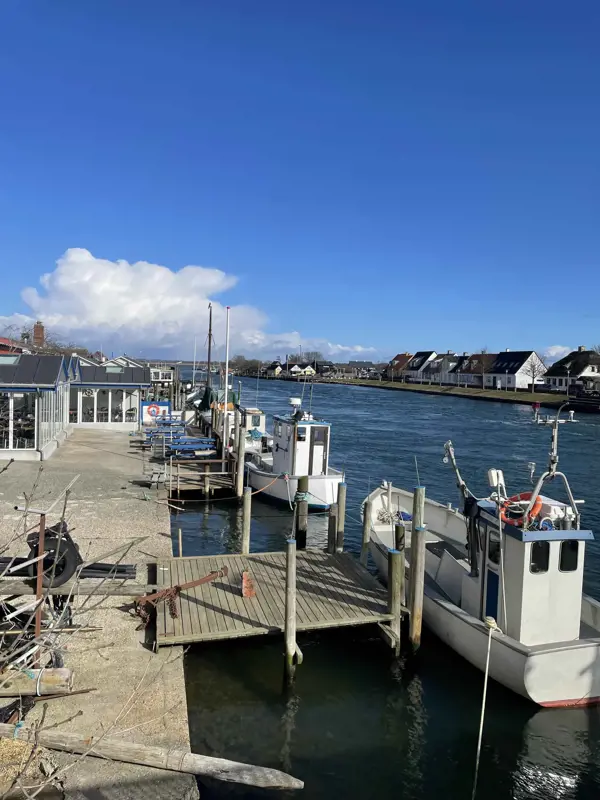 Bild 31 von 31
