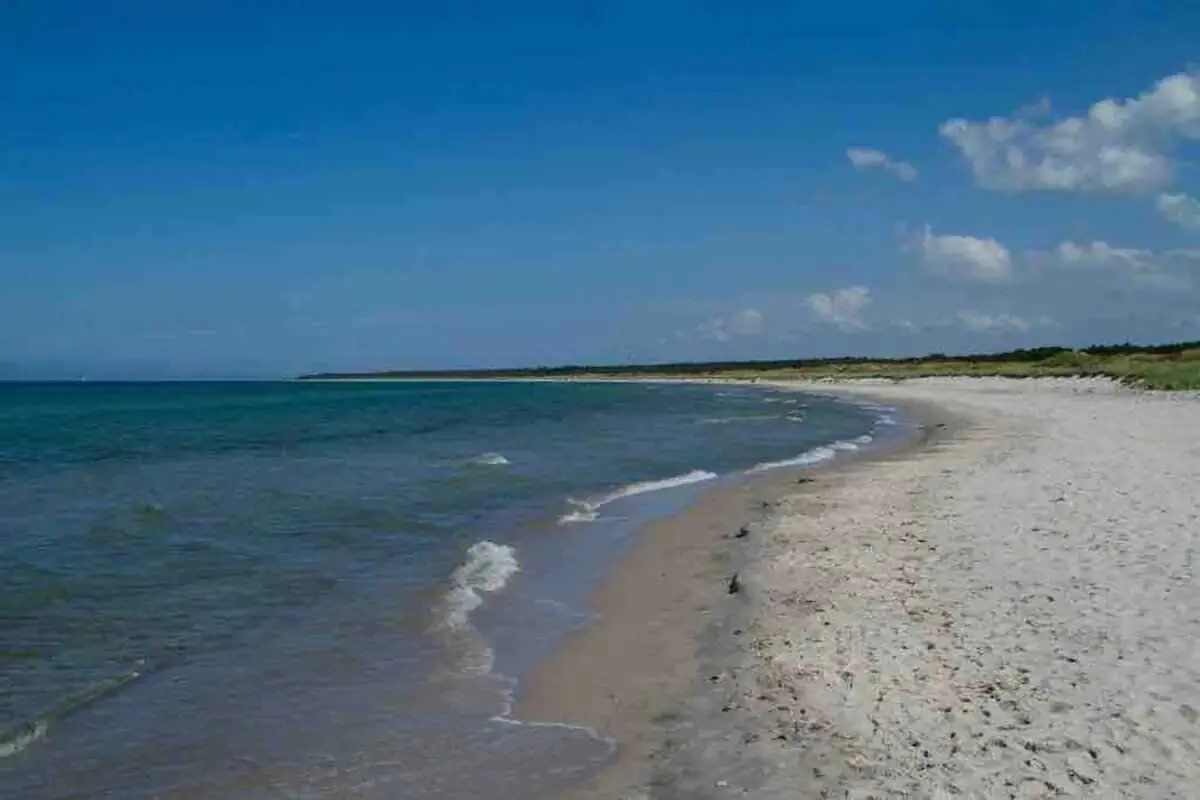 Bild 31 von 31
