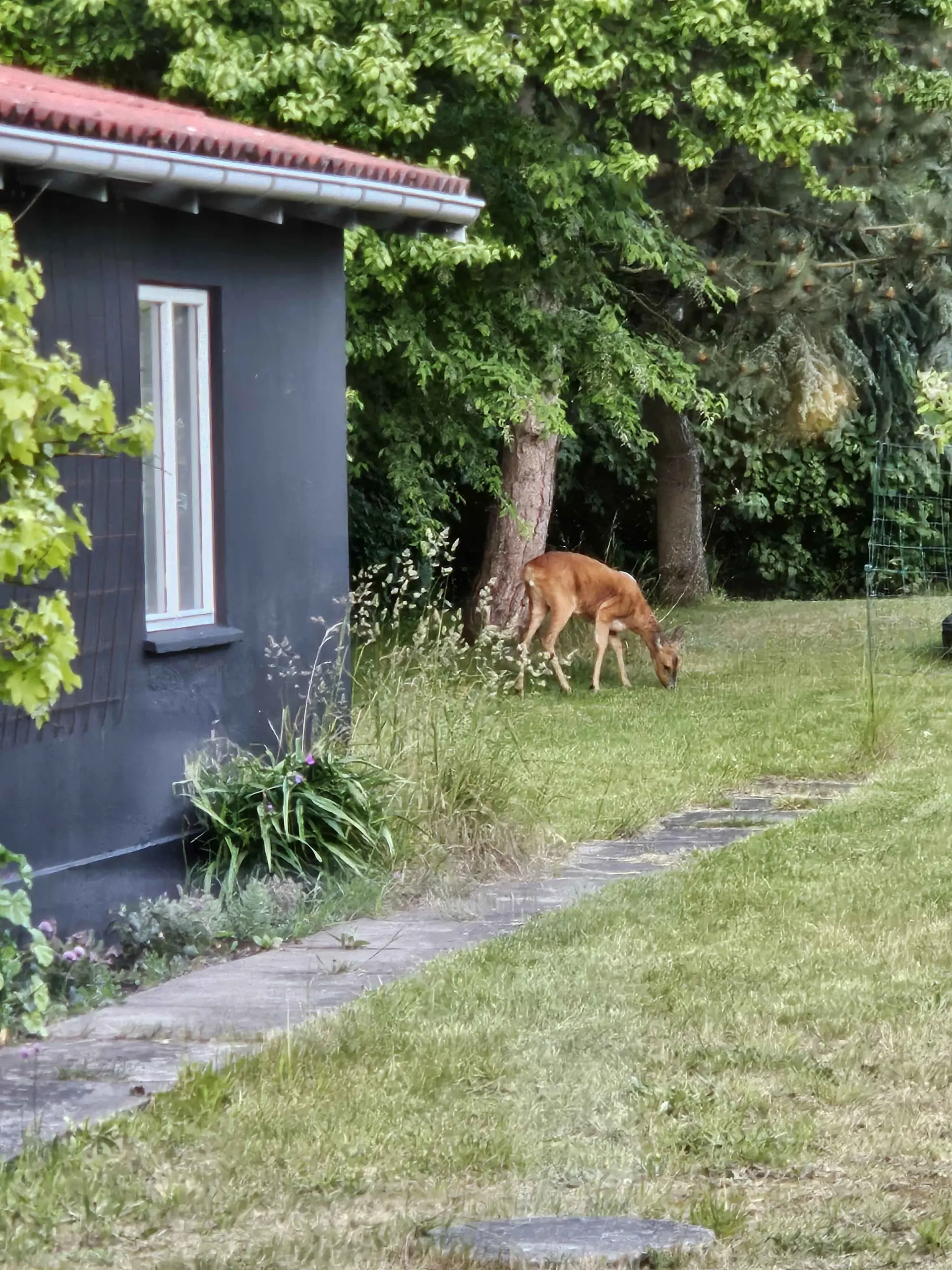 Bild 19 von 33
