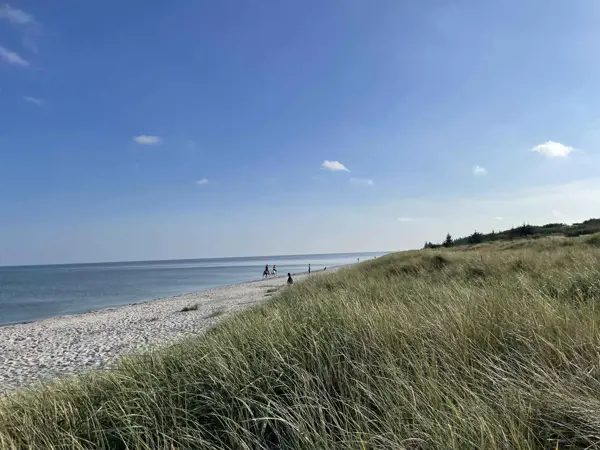 Bild 26 von 27